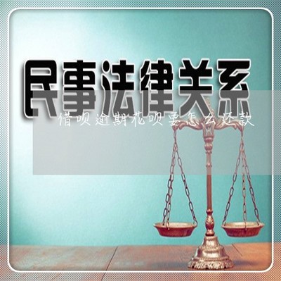 慘不忍睹 借唄逾期后，花唄該如何還款？一文講清方法與順序